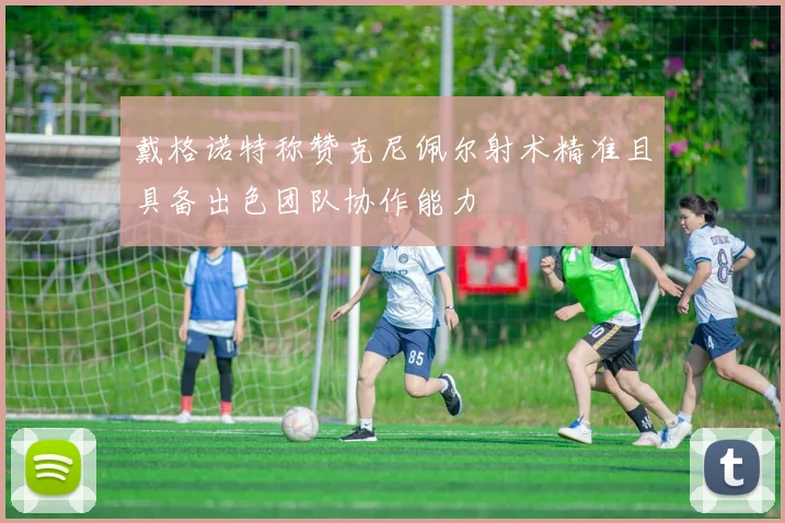 戴格诺特称赞克尼佩尔射术精准且具备出色团队协作能力