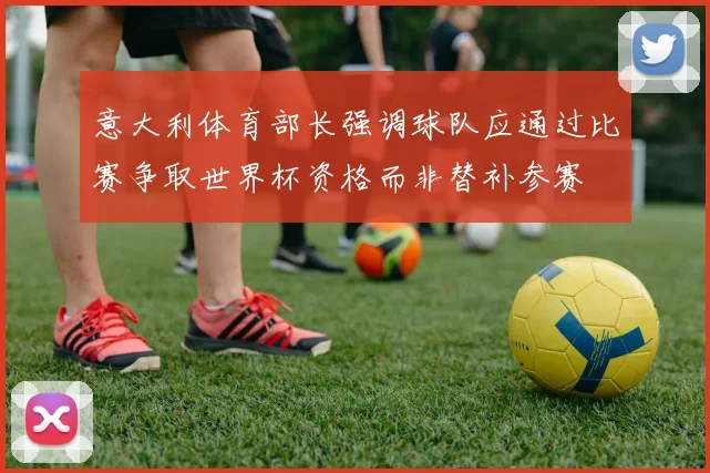 意大利体育部长强调球队应通过比赛争取世界杯资格而非替补参赛